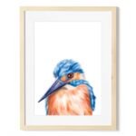 baby kingfisher art print