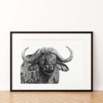 Buffalo Sketch Art Print
