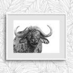 Buffalo Sketch Art Print