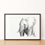 Elephant Sketch Art Print