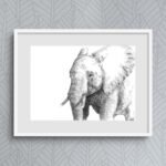 Elephant Sketch Art Print