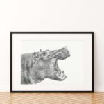Hippo Sketch Art Print
