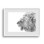 Lion Sketch Art Print