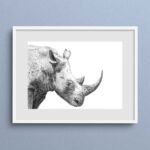Rhino Sketch Art Print