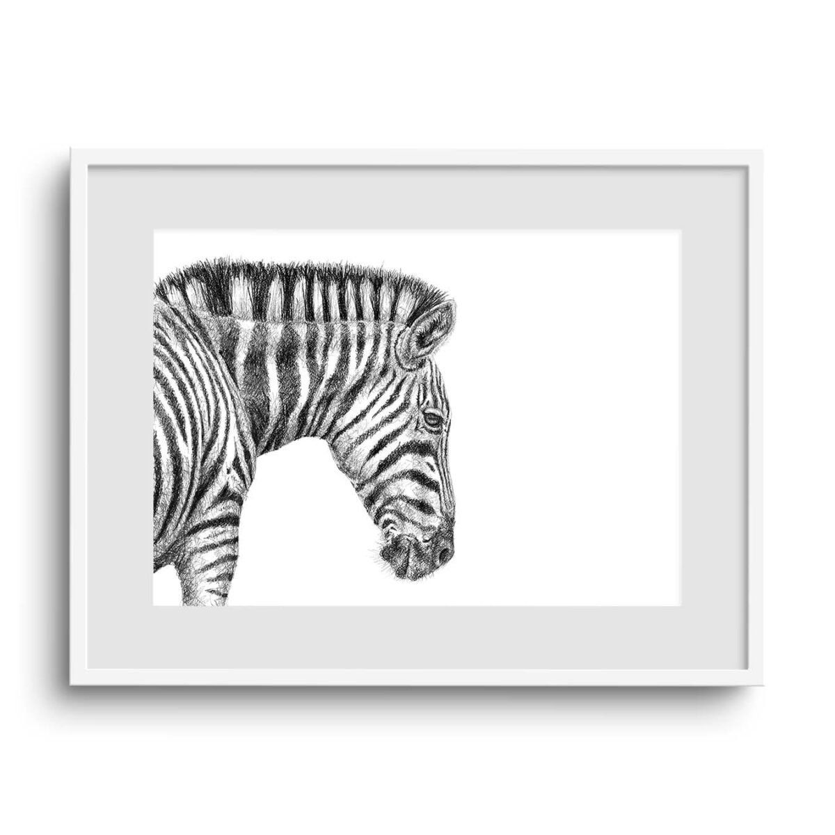 Zebra Sketch Art Print