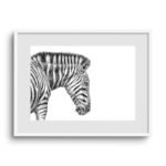 Zebra Sketch Art Print