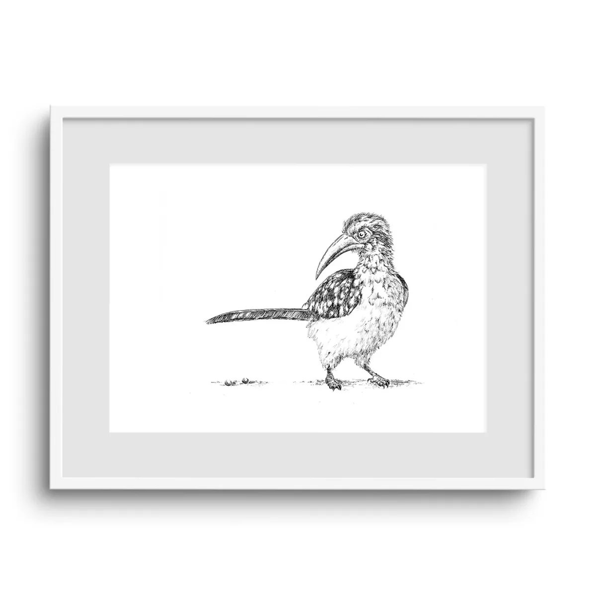 Hornbill Pen and Ink Art Print - Image 2