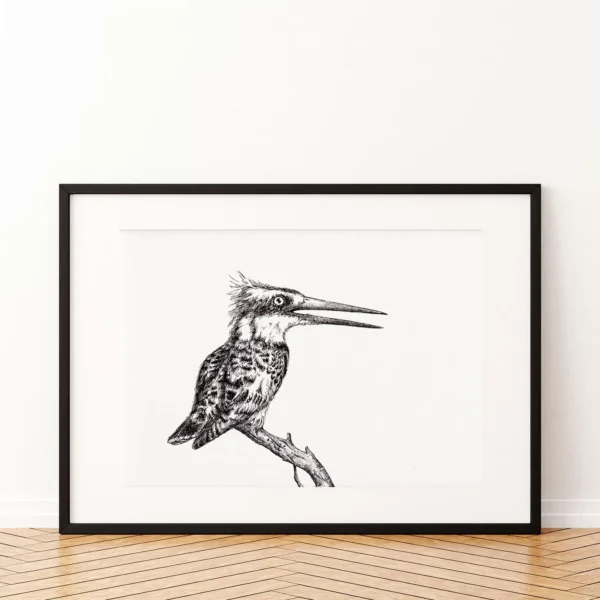 Kingfisher Pen and Ink Art Print