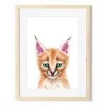 baby caracal art print