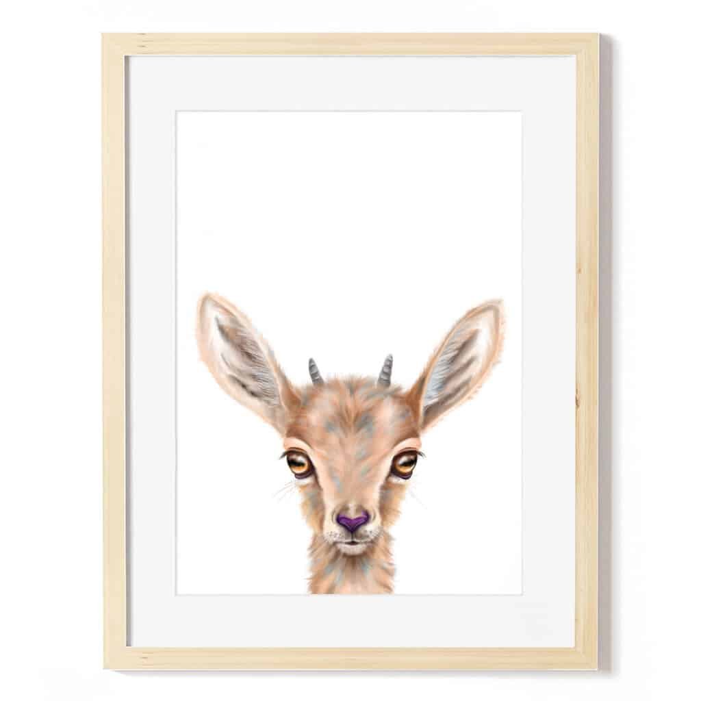 baby ibex art print