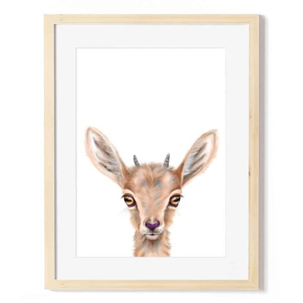 baby ibex art print