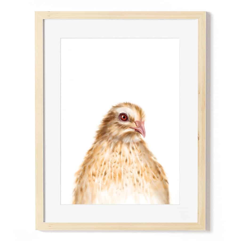 baby quail art print