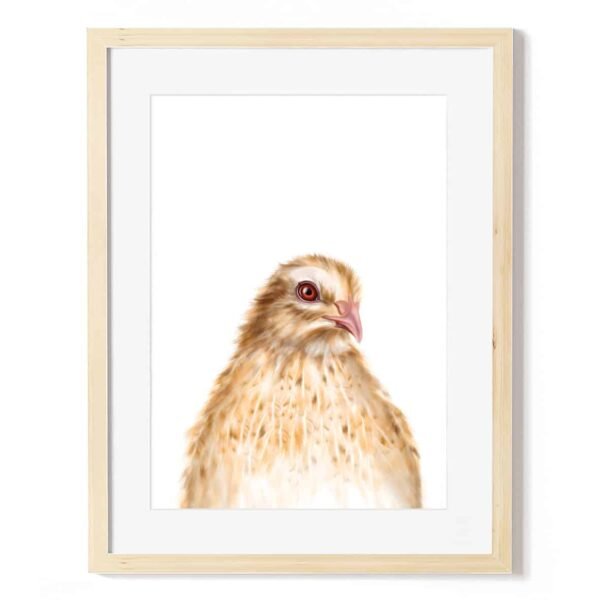 baby quail art print