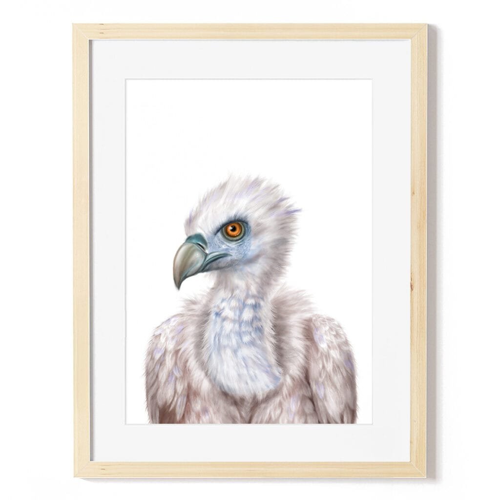 baby vulture art print