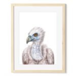 baby vulture art print