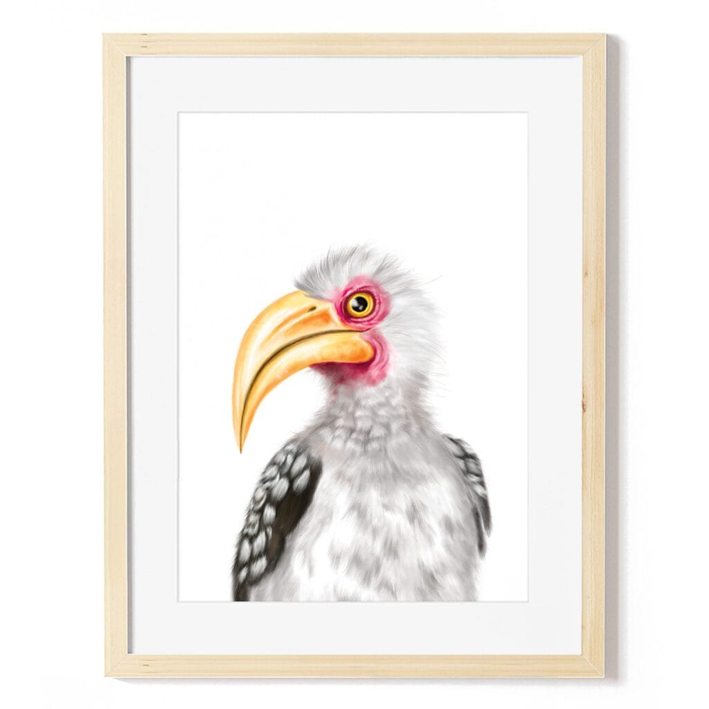 baby hornbill art print