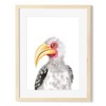 baby hornbill art print