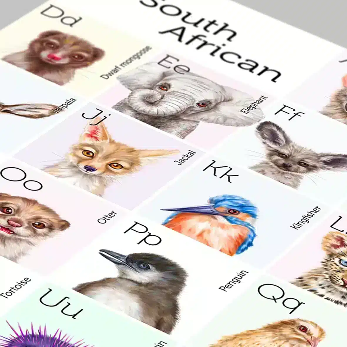 South African Animal Alphabet Print - Image 3