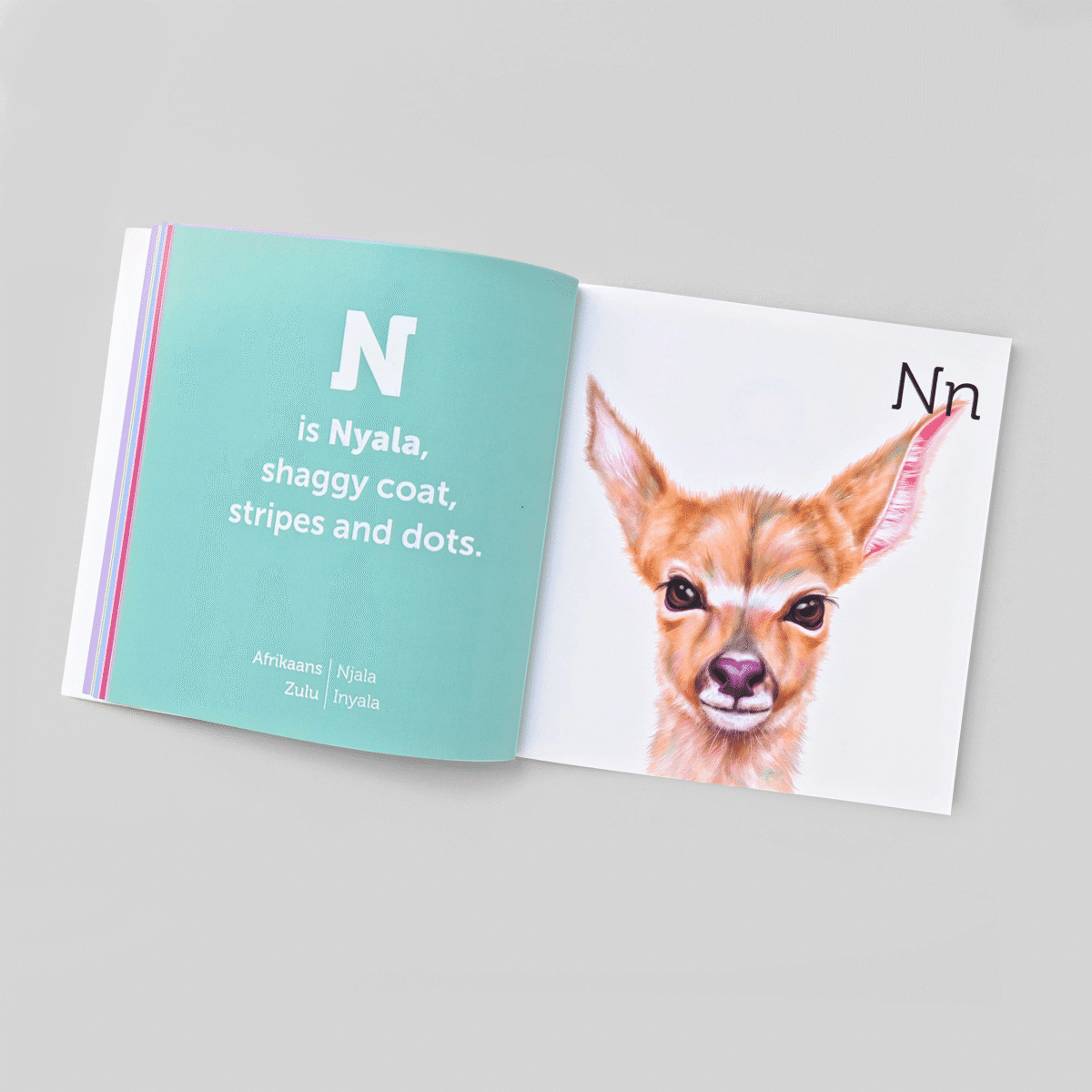 South African Animal Alphabet Book - Image 6