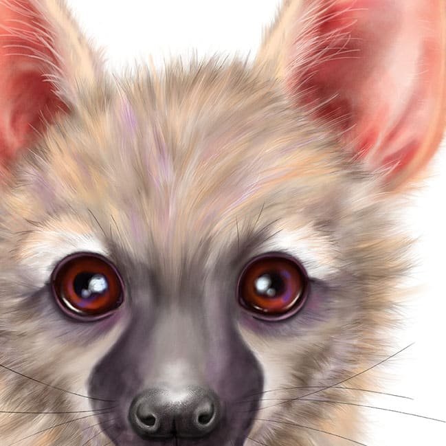 Baby Aardwolf Art Print - Image 2