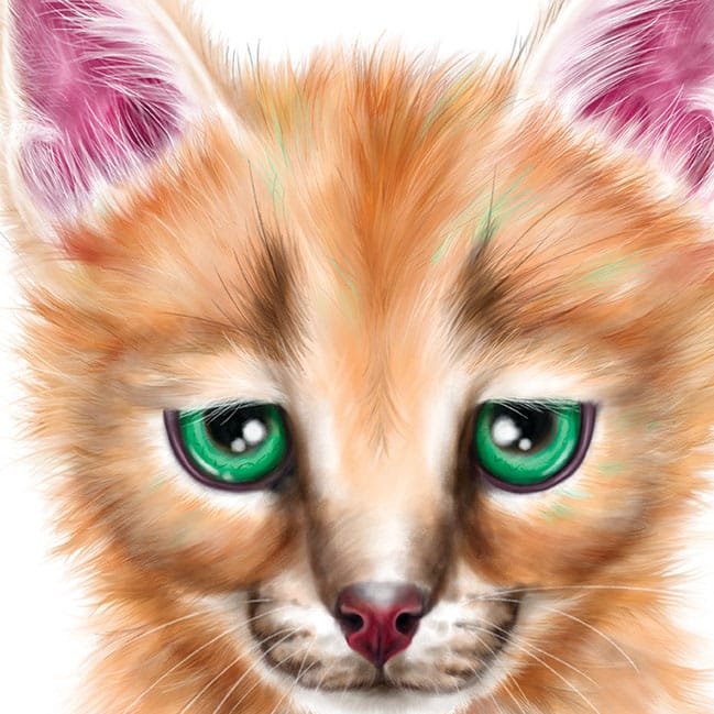 Baby Caracal Art Print - Image 2