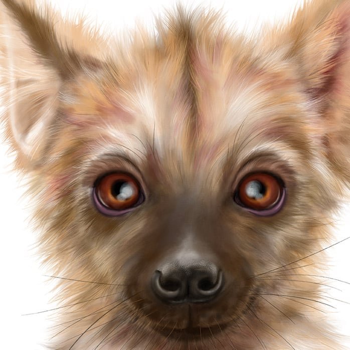 Baby Hyena Art Print - Image 2