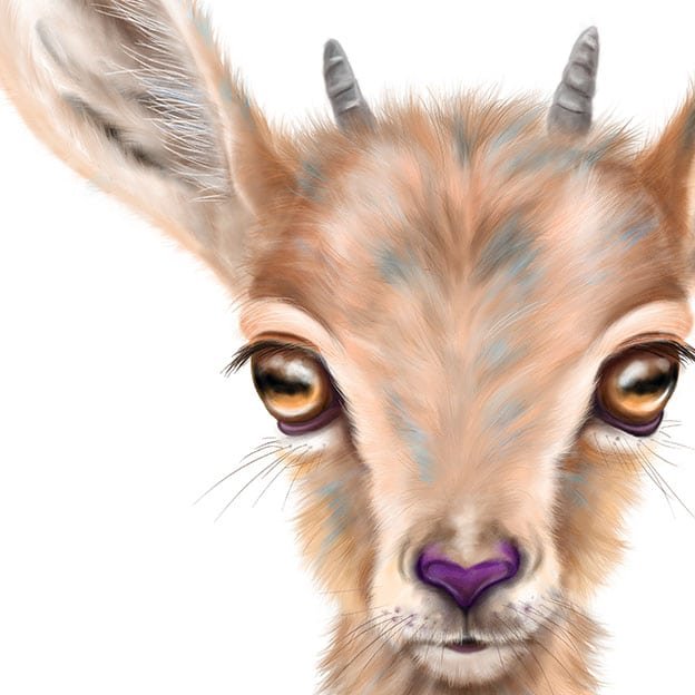 Baby Ibex Art Print - Image 2