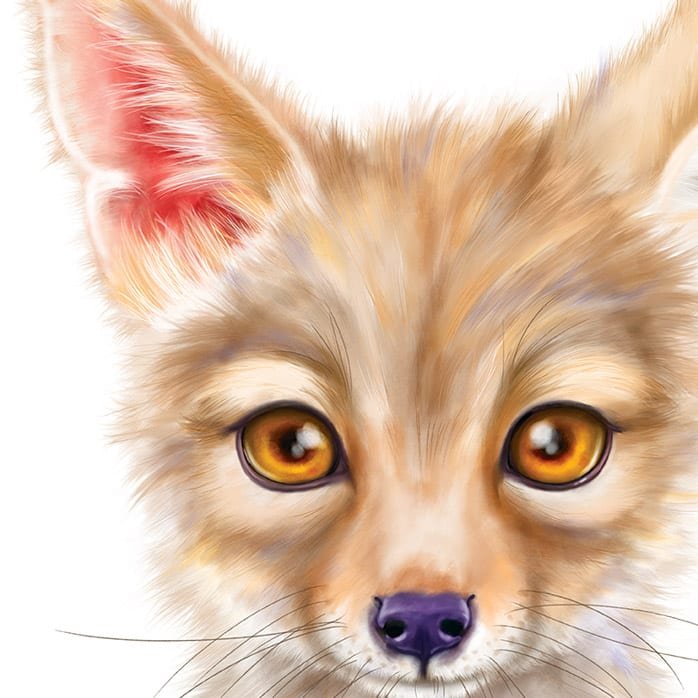 Baby Jackal Art Print - Image 2