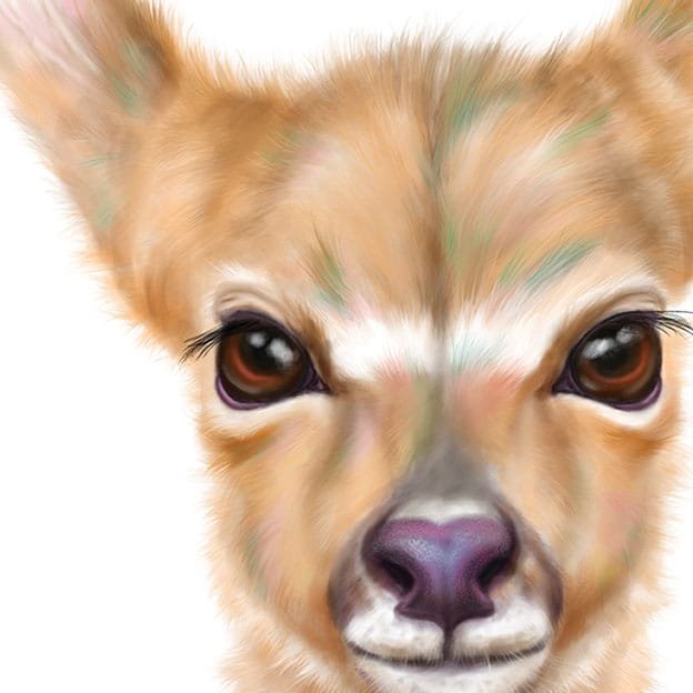 Baby Nyala Art Print - Image 2