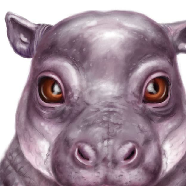 Baby Hippo Art Print - Image 2