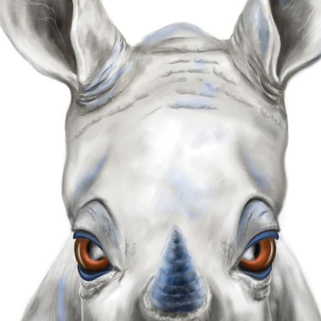 Baby Rhino Art Print - Image 2
