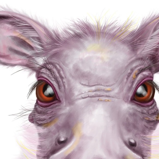 Baby Warthog Art Print - Image 2
