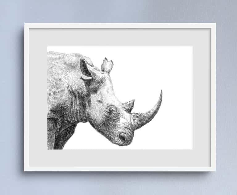 African Wildlife Black & White Art Prints - Rhino