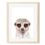 baby meerkat art print
