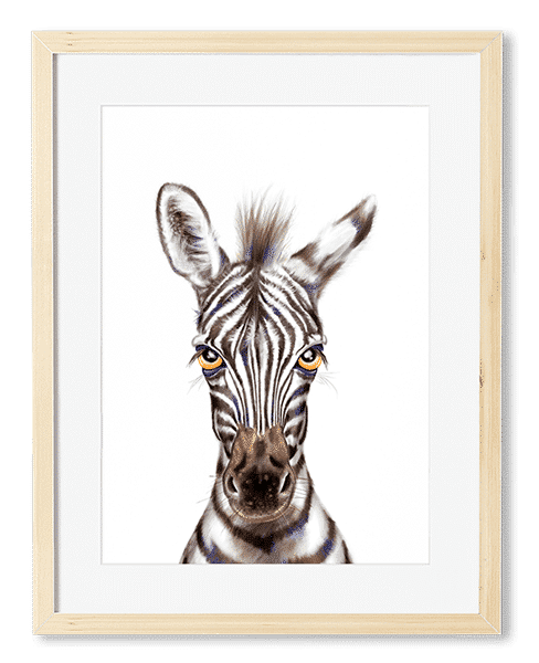 baby_zebra_art_print