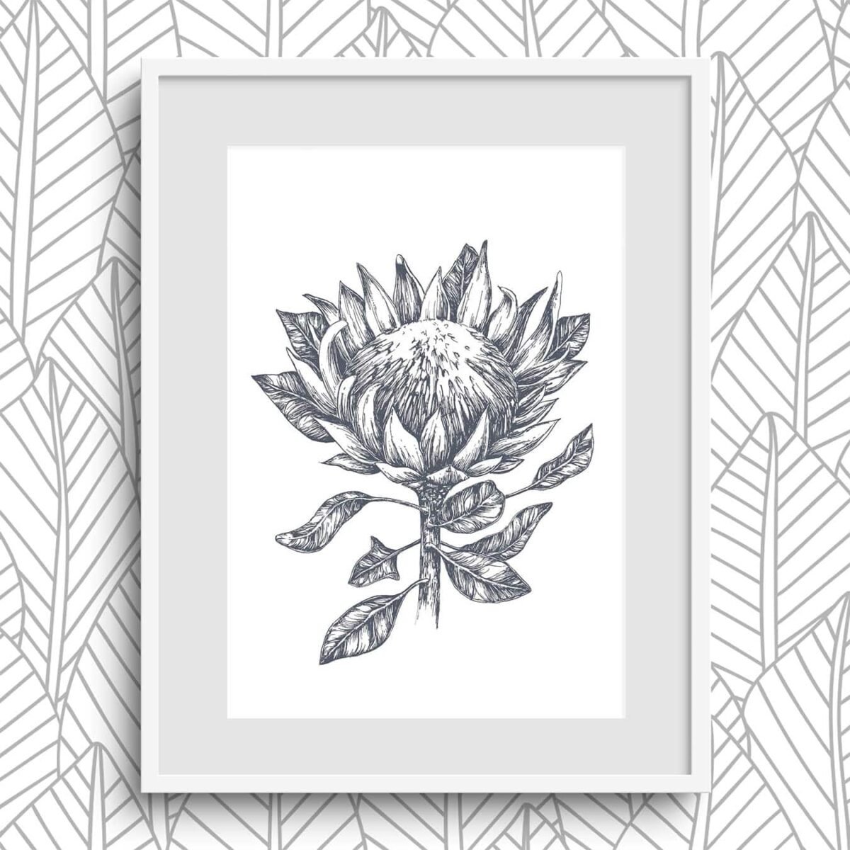Protea Pen & Ink Art Print P1 - Image 2