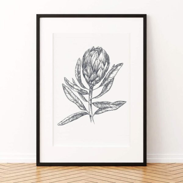 Protea Pen & Ink Art Print-P2
