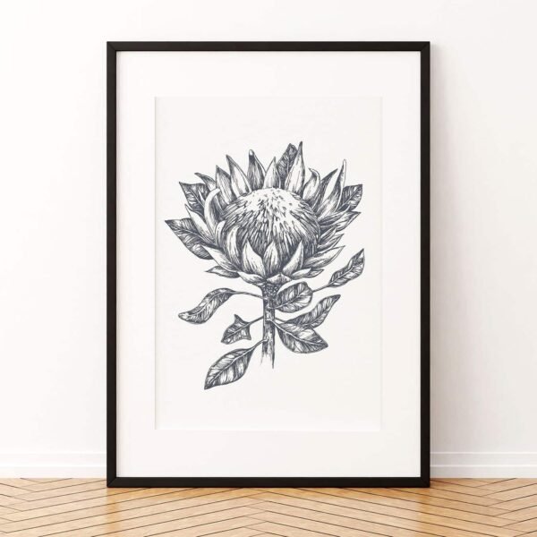 Protea Pen & Ink Art Print P1