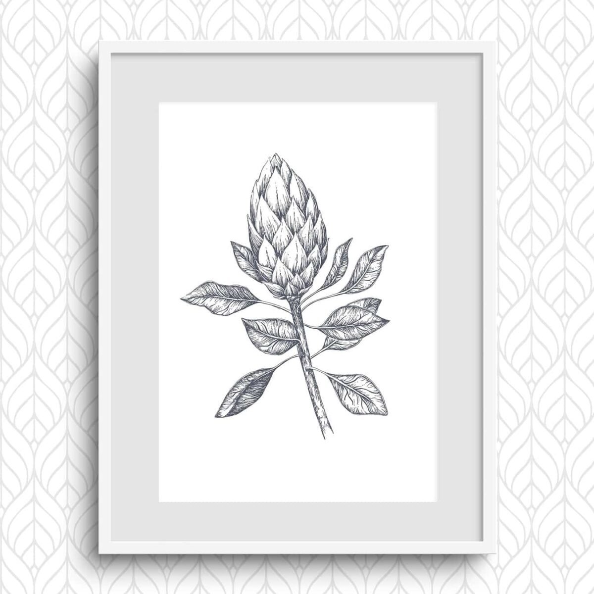 Protea Pen & Ink Art Print-P3 - Image 2
