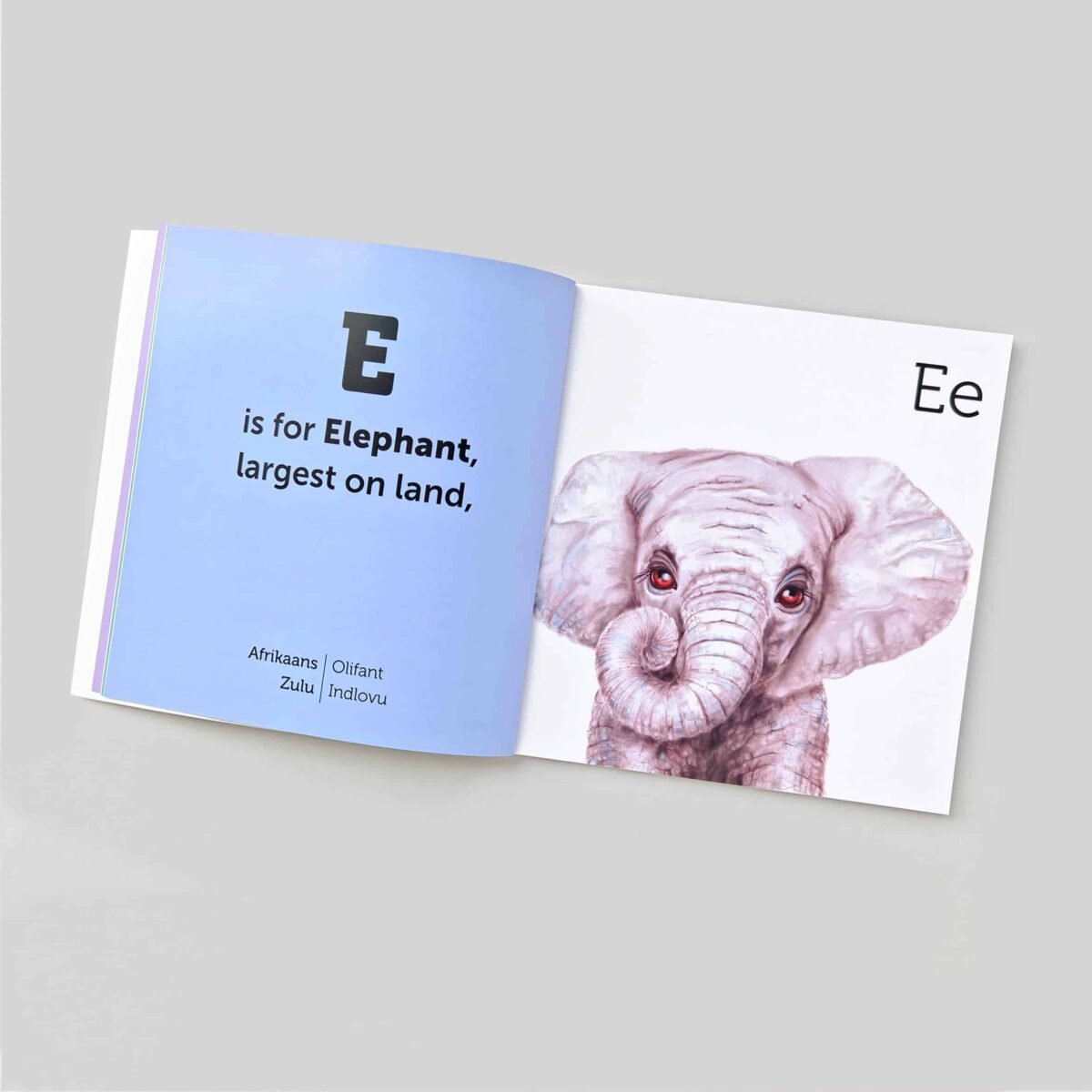 South African Animal Alphabet Book - Image 4