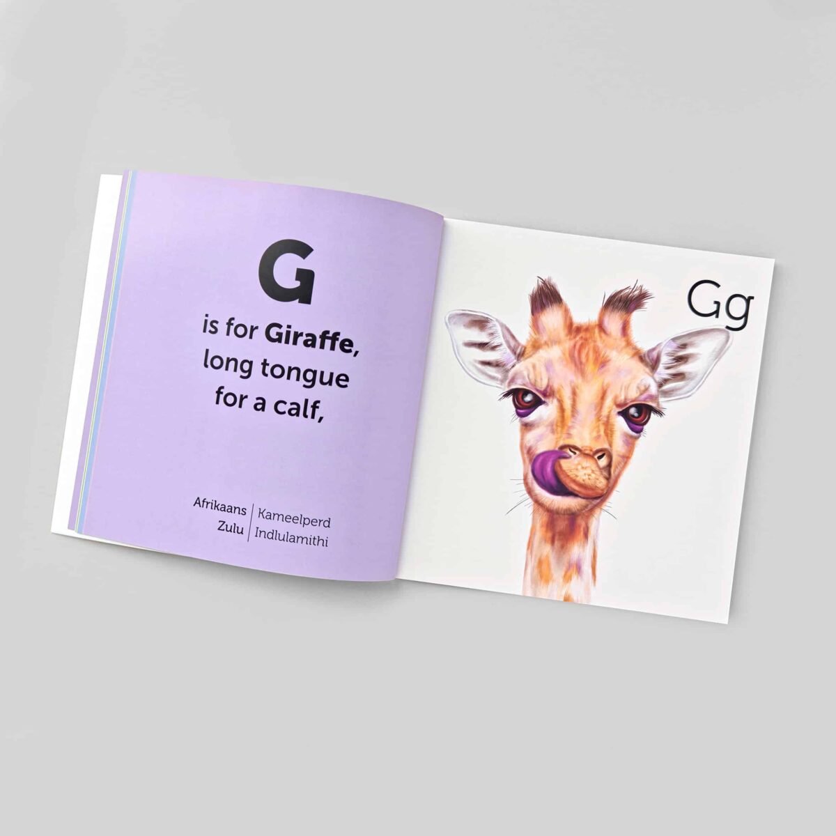 South African Animal Alphabet Book - Image 3