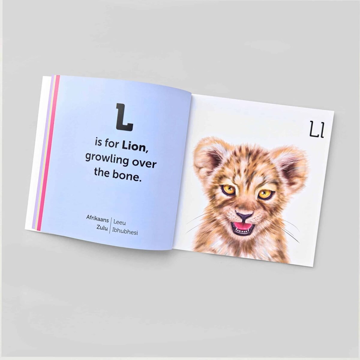 South African Animal Alphabet Book - Image 5