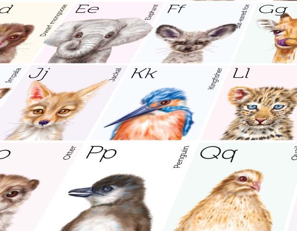 zoomed ABC poster image